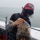 김선장 이미지