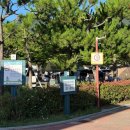�c방자동차정비 | 거제 몽돌해변 학동자동차야영장 이용 후기 l D3 사이트 캠핑장 명당 예약 꿀팁