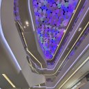 옥길공인중개사사무소 | 옥길센트럴힐 옥길 한신더휴 아파트 매물 옥길라인공인중개사사무소