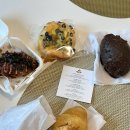 옳치 올치 이미지