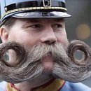 뽑아뽑아 이미지