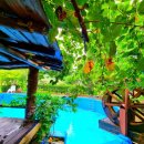 예솔이네집 이미지