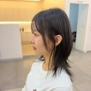 다온헤어살롱 - 천안시 서북구 한들3로 35-28 | 다온헤어살롱