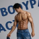 바디팩트 이미지