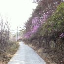 두배농장 이미지