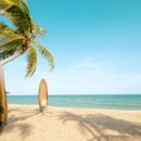 서진한의원 이미지