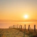 빛