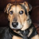 갈매동물병원 이미지