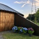 부디제주(스테이) 이미지