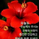 죽청경로당 이미지