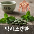 [근육통 맞춤 한방처방] 박하소령환(薄荷小靑丸) 이미지
