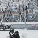 함께 맞이한 24년도, 우리집 꿀딴지 3둥이와의 1분기 정산