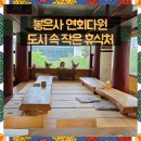 숲속쌍화차 | 다원,봉은사 연꽃축제 보고 들르기 좋은 한옥카페 Ⅰ 수제 대추차와 침향 쌍화차 솔직 후기(주차정보 포함)