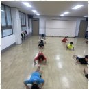 소나무향기태권도 이미지