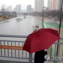 온천천일대13 이미지