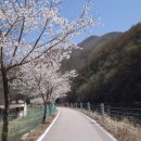 경춘선 자전거도로18 이미지