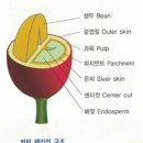 긱스커피 - 동구 안심로22길 60-1 | 긱스커피
