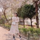 권나라 카카오 검색결과