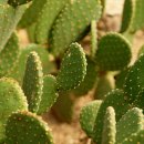 창암농장 이미지