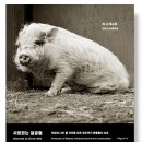 그림책 원예 활동 이미지