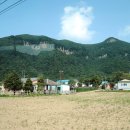 나리 신령수 Daum카페