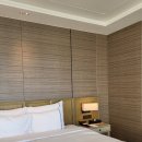 지상낙원 c | 시그니엘 부산 호캉스 | 프리미어 더블룸 오션뷰 n번째 방문 후기 (+미포하버뷰 비교)