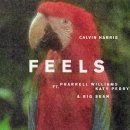 Calvin Harris - Feels (Ft. Pharrell Williams, Katy Perry, Big Sean) 이미지
