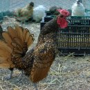 경민농장 이미지