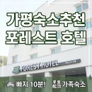 추천로 | 가평숙소추천 포레스트 호텔 가평 빠지와 시내 접근성 완벽했던 숙박 후기