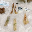 맛있개 건강하개 이미지