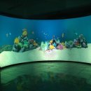 원통스크린 이미지