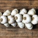 와이비메디칼 이미지