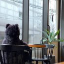 망원 블랙베어도넛 | 달달한 도넛과 곰인형..