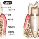신대치과의원 이미지