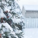 연가리맑은터 | 마클30차-2주차 에피소드(2)