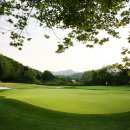 여주-0594 이미지