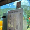 여별 | 괴산 쌍곡계곡 평상대여 별그림펜션, 새들펜션 비교후기
