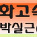 금화고속관광 이미지