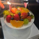 챠밍애견 | 홍대 술집 홍대포 노포술집 모듬전 닭볶음탕 내돈내산 후기