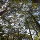 경상북도 종합관광안내소 이미지