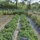 풍경공원 화장실 이미지