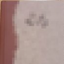 해맑은유치원 | 부산 문현동 유치원 졸업사진 전문 '찍자사진관' 후기