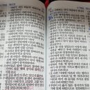 신생중앙교회