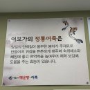 조선매운탕 | 아산맛집 어보가매운탕 몸보신하기 좋은 정통어죽 먹은 후기