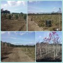 신흥2농장 이미지