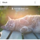 인더카페(In the caffe) | [경기광주 카페] 냅인더선샤인 후기 Nap in the sunshine
