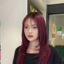 무트헤어