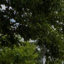 숲속의펜션 이미지