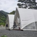 경주 산내면 캠프 포레스트 캠핑장 후기-자연 속 힐링 제대로 느낀 곳