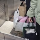 수빈 | W15-3. 소르아 웨딩 스튜디오 촬영 후기 (수빈 작가님, 고양이와)